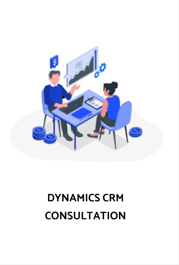 DYNAMICS CRM CONSULTATION-MS dynamics