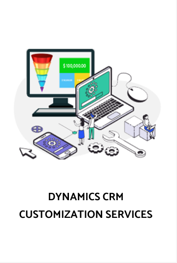 DYNAMICS CRM CUSTOMIZATION SERVICES-MS dynamics